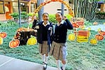 N姉妹:メキシコ赴任